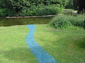 Trassenmarkierung mit Sportplatzfarbe: Blaues Band mündet im herrngartenteich 